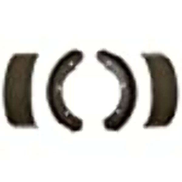 RAYBESTOS 1050PG Professional Grade Brake Shoe Set