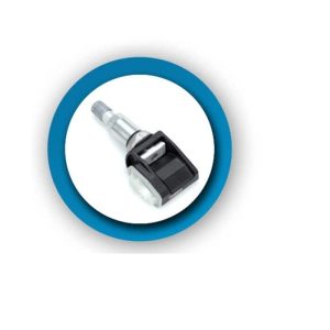SCHRADER 29129 The Main Resource Aluminium Clamp-in Variabl