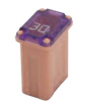 BUSSMANN FMM20 FMM-20 MAXI Fuse (Slow BlowFT Micro Female - 20 A (Blue))