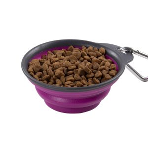 DEXAS PW2004322405 Pets Collapsible Travel Cup, Small/1 Cup Capacity, Fuchsia