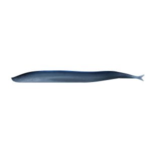 BERKLEY 1121693 Gulp! Saltwater Sand Eel - 5 INCH- Silver Mud