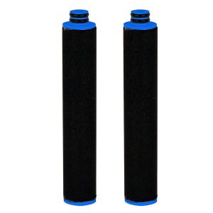 FORESPAR 770297-2 PUREWATER+ALL-IN-ONE WATER FILTRATION SYSTEM 5 MICRON REPLACEMENT FILTERS - 2-PACK