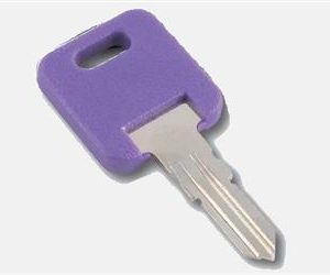 AP PRODUCTS 013690301 GLOBAL RPL KEY CODE # 301; Replacement Key For Global Series Door Lock; Key Code 301