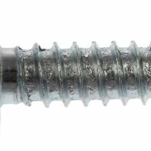 DORMAN 02405 License Plate Fasteners-1/4 In. (No. 14) x 3/4 In
