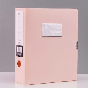 Large Capacity Document Organizer and File Storage Box