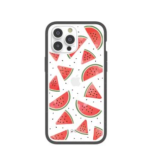 Clear Watermelon iPhone 14 Pro Max Case With Black Ridge