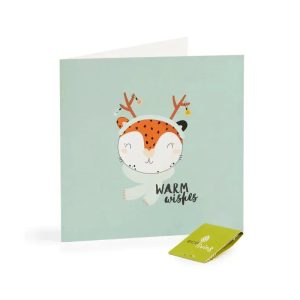 Recycled Christmas Cards - Cute Animal Cards (FSC 100%) - Cat